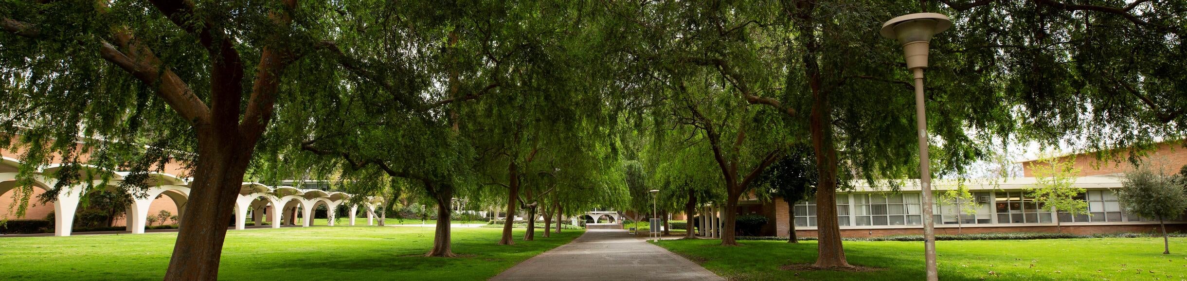 Green Path